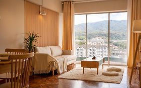 Star Regency By Plush